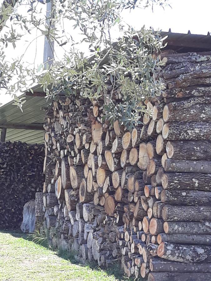 Vila La Vecchia Quercia Pergine Valdarno Exteriér fotografie